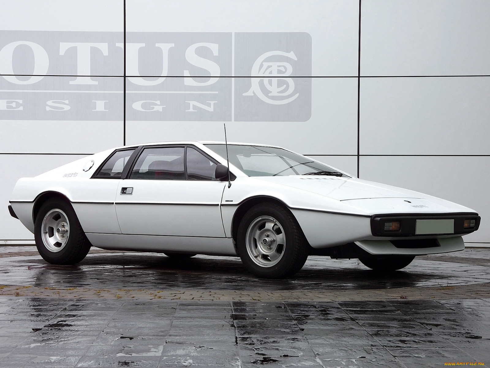 , lotus, esprit